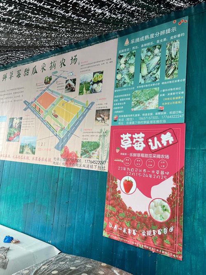 蔬菜认养
