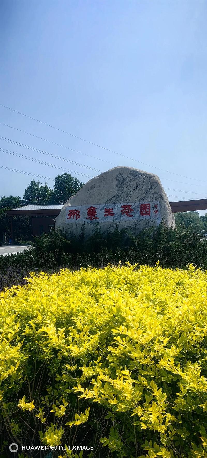 生态园