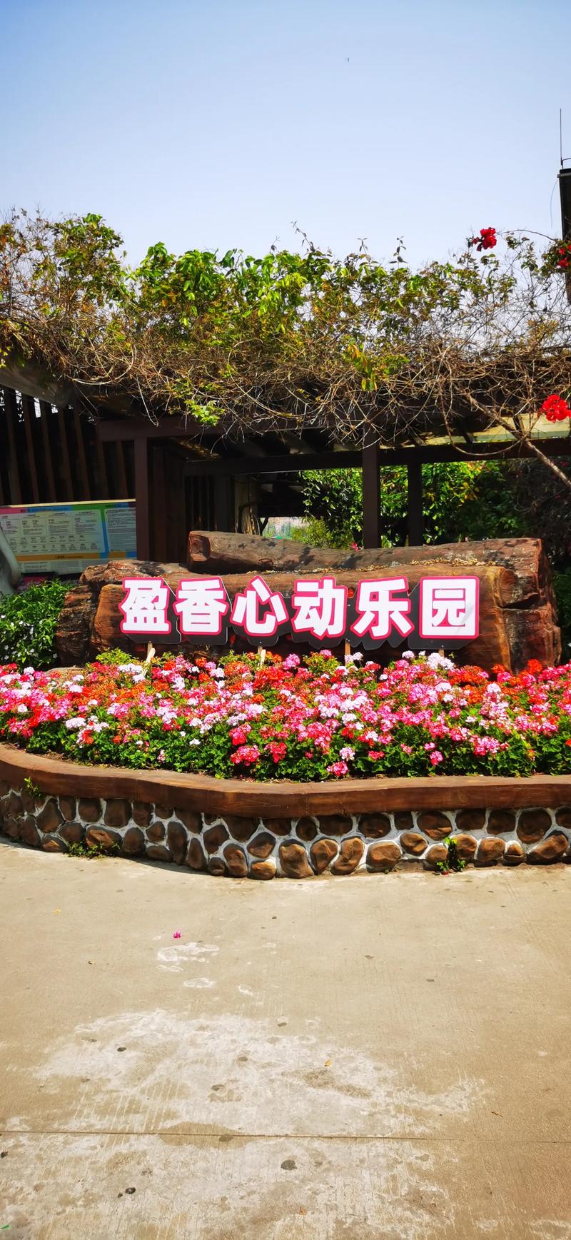 草莓采摘