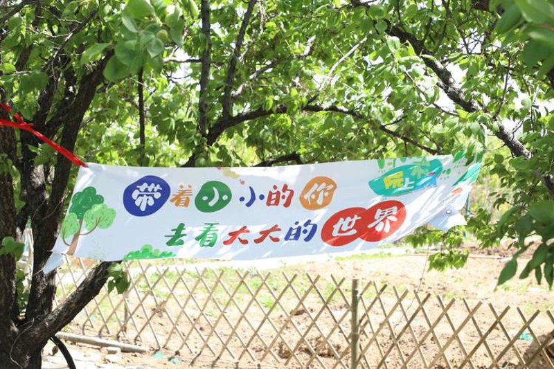 亲子乐园中的绿野探索：亲近自然的魅力